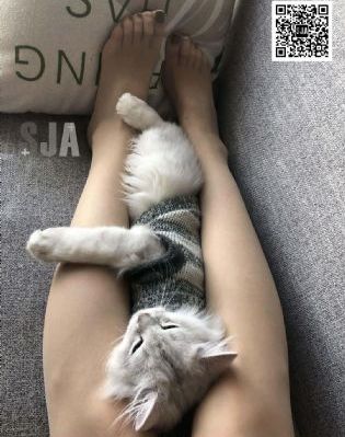 欧美的无码在线-手机视频高清完整视频